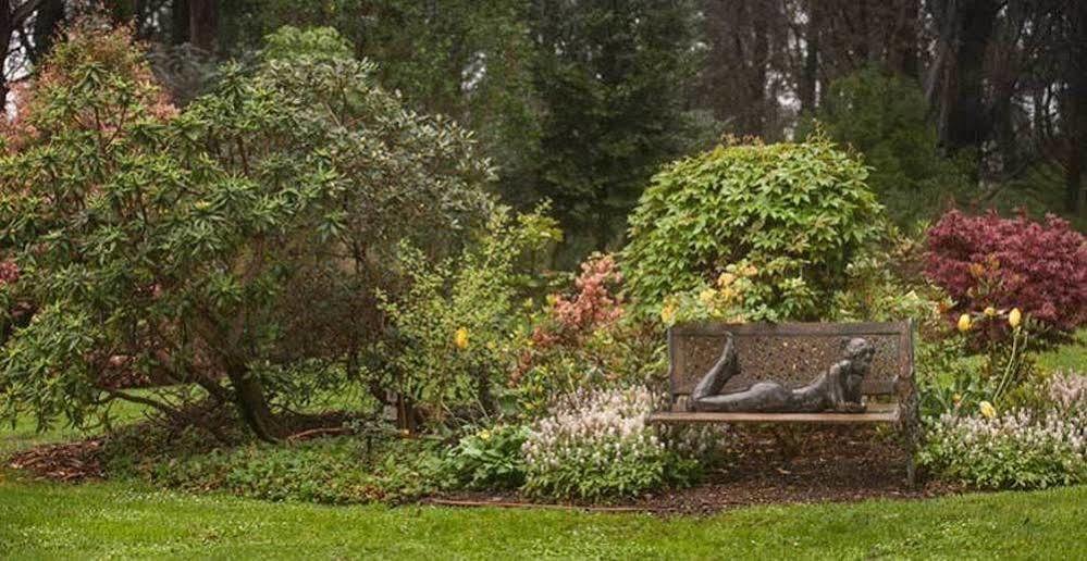 Hostal Beechmont Garden Retreat Olinda Exterior foto