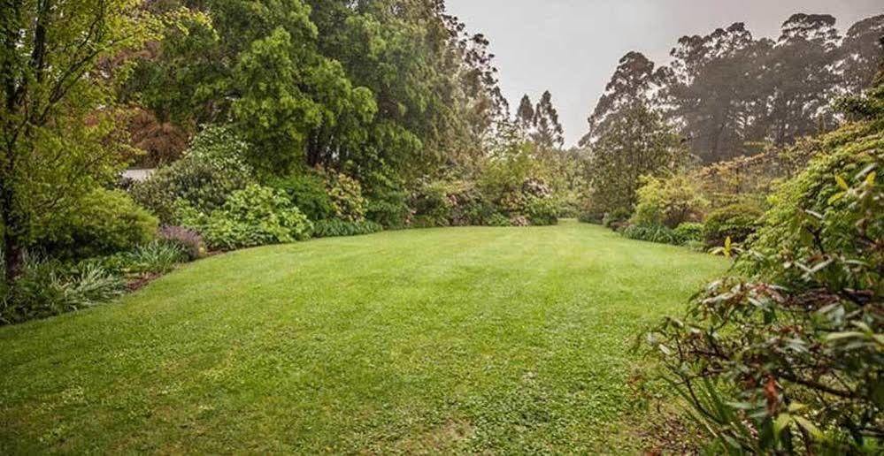 Hostal Beechmont Garden Retreat Olinda Exterior foto