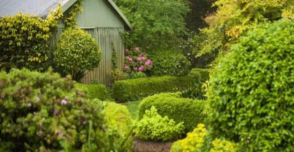 Hostal Beechmont Garden Retreat Olinda Exterior foto