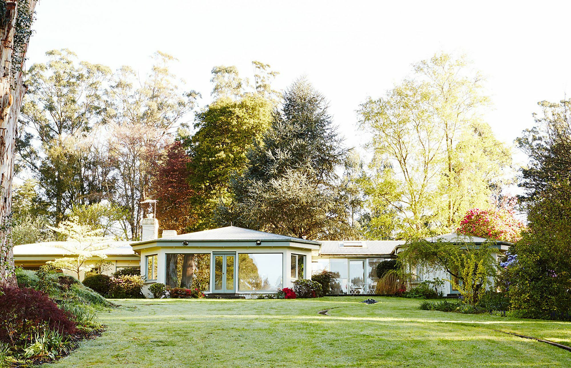 Hostal Beechmont Garden Retreat Olinda Exterior foto